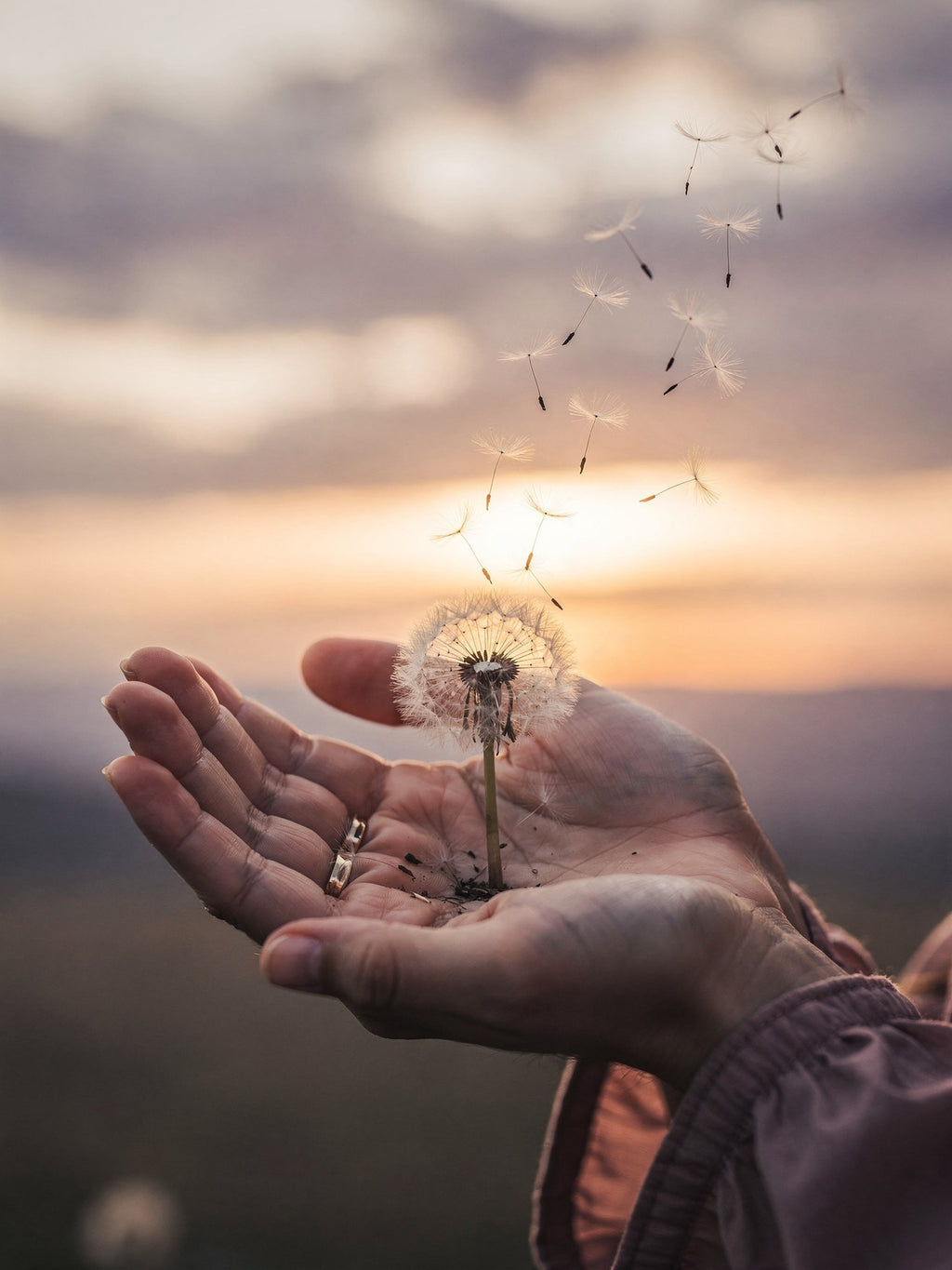 Cuando el alma duele